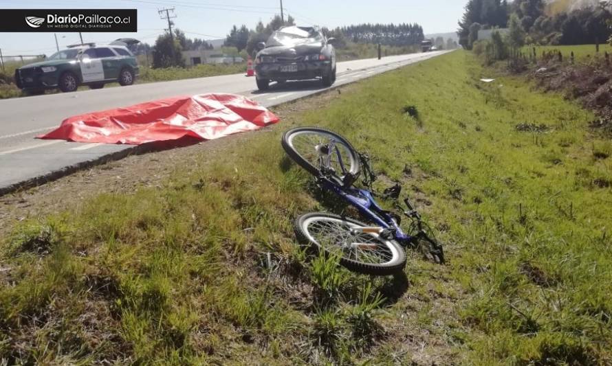 SIAT investiga trágico accidente de ciclista en Paillaco