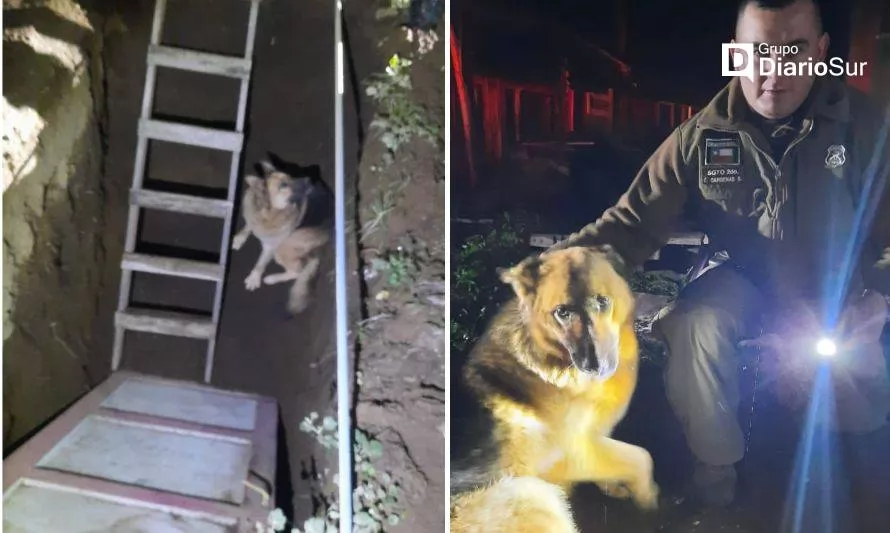 Llevaba dos días perdido: perrito fue rescatado desde un pozo en Llifén