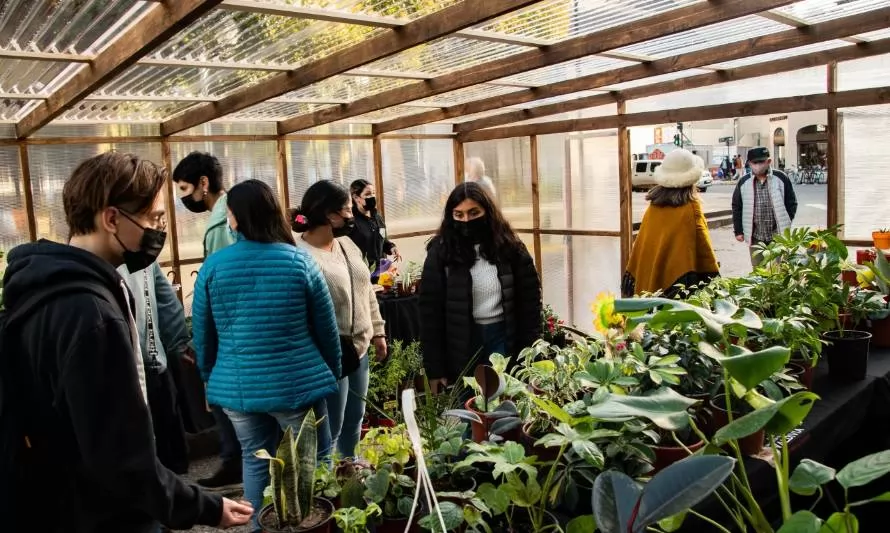 Viveristas comercializan sus plantas en invernadero comunitario en Valdivia 