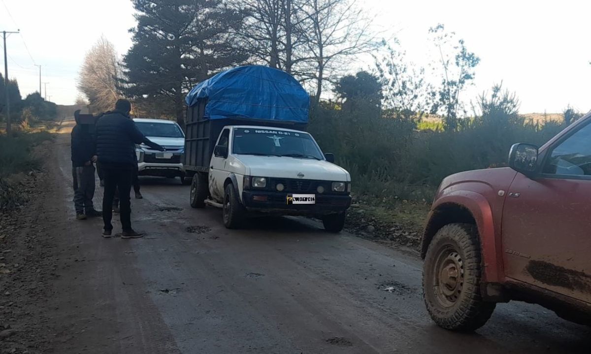 Tres personas detenidas por sustracción de madera en Paillaco